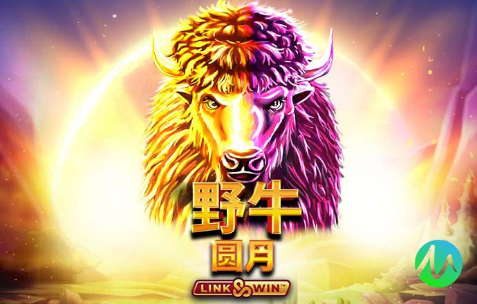 11133宝典下载